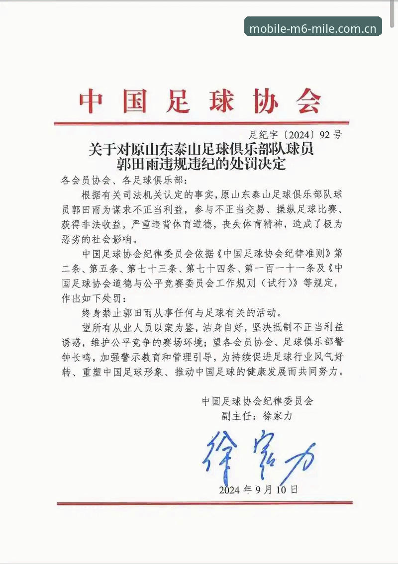 中国足协公布第三批禁足名单最新动态，行业整顿再升级